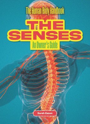 The Senses 1