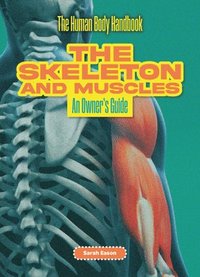 bokomslag Skeleton and Muscles