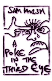 bokomslag Poke In The Third Eye