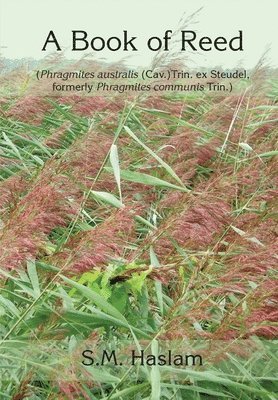 Sylvia Haslam, Tina Bone - BOOK OF REED (Phragmites australis (Cav.) Trin. ex Steudel, formerly Phragmites communis Trin.), Häftad