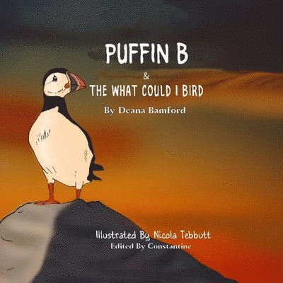 PUFFIN B 1