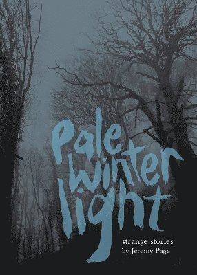 Jeremy Page - Pale Winter Light, Häftad