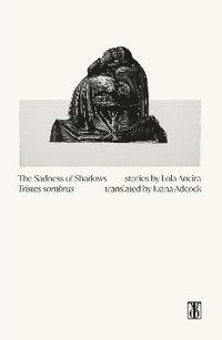 bokomslag The Sadness of Shadows