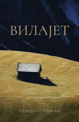 Nebojsa Stojoski - Vilajet, Häftad