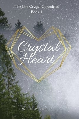 bokomslag Crystal Heart