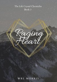 bokomslag Raging Heart