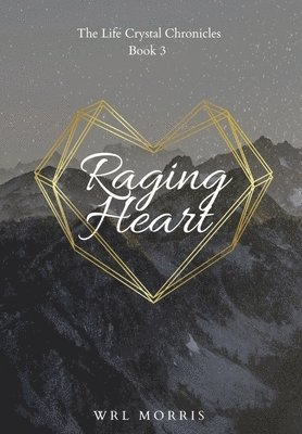 bokomslag Raging Heart