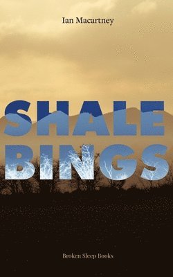 Ian Macartney - Shale Bings, Häftad