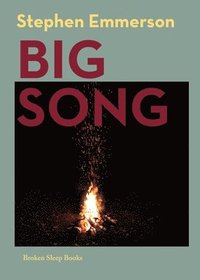 bokomslag Big Song
