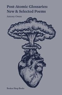 bokomslag Post-Atomic Glossaries