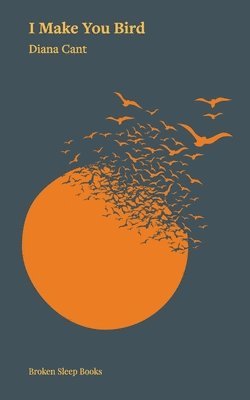 Diana Cant - I Make You Bird, Häftad. Tillgänglighet: Lägg i varukorg