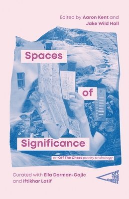 bokomslag Spaces of Significance