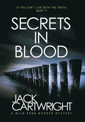 bokomslag Secrets In Blood