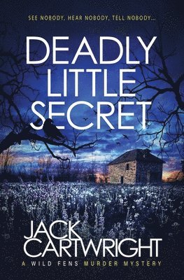 bokomslag Deadly Little Secret