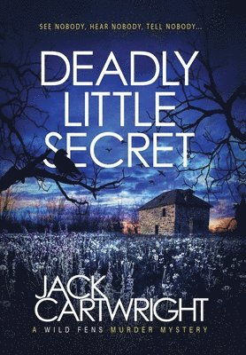 bokomslag Deadly Little Secret