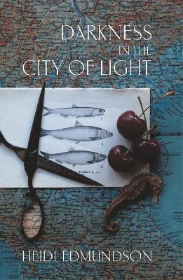 Heidi Edmundson - Darkness in the City of Light, Häftad