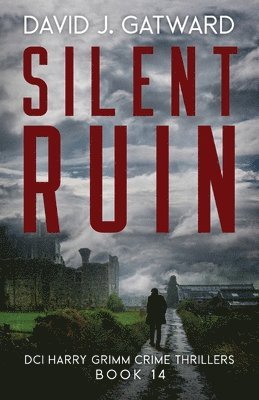 bokomslag Silent Ruin