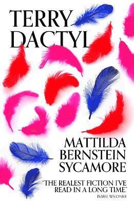 Mattilda Bernstein Sycamore - Terry Dactyl, Häftad