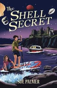 bokomslag Shell Secret