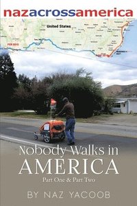 bokomslag Nobody Walks in America