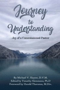 bokomslag Journey To Understanding