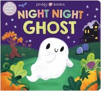 bokomslag Night Night Ghost