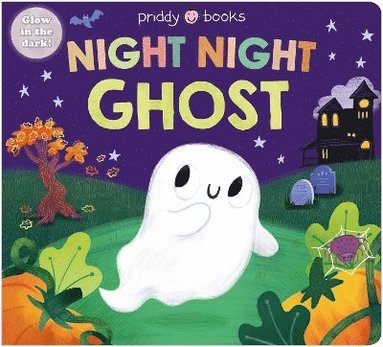 bokomslag Night Night Ghost