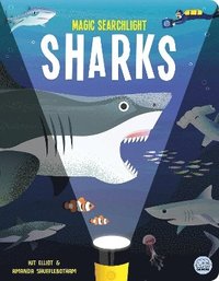 bokomslag Magic Searchlight - Sharks