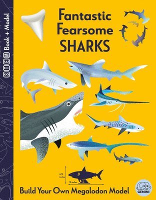 Fantastic Fearsome Sharks 1