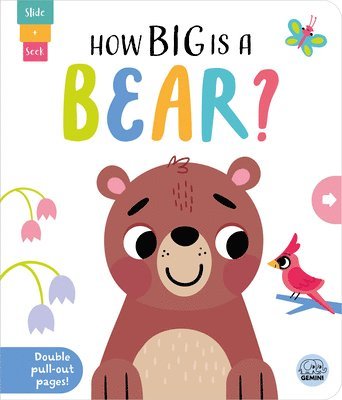 bokomslag How Big Is a Bear?