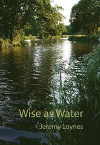 bokomslag Wise as Water