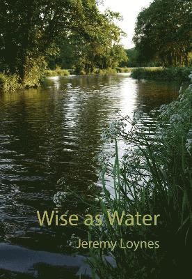 bokomslag Wise as Water