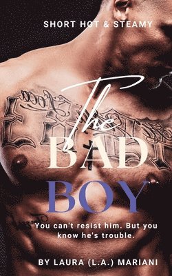 bokomslag BAD Boy