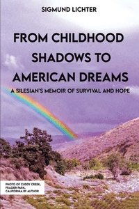 bokomslag From Childhood Shadows To American Dreams