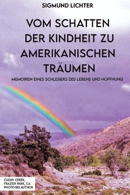 bokomslag Vom Schatten Der Kindheit Zu Amerikanischen Träumen