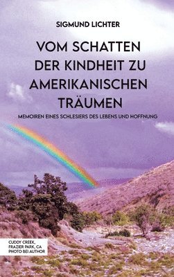 bokomslag Vom Schatten Der Kindheit Zu Amerikanischen Trumen