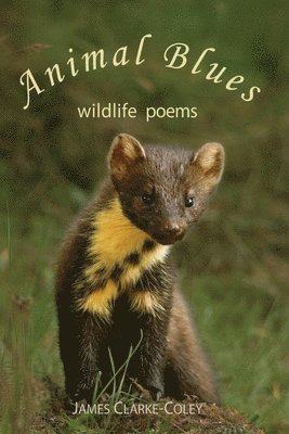 bokomslag Animal Blues - Wildlife Poems