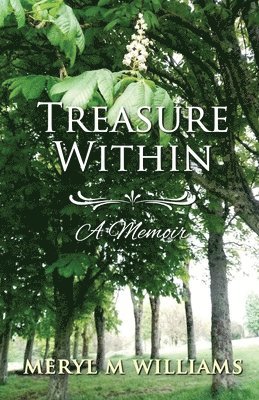 bokomslag Treasure Within - A Memoir