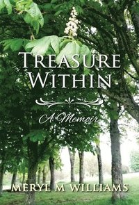 bokomslag Treasure Within - A Memoir