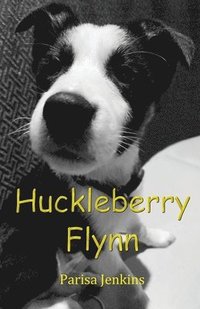 bokomslag Huckleberry Flynn