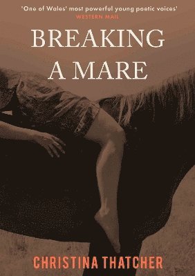 Breaking a Mare 1