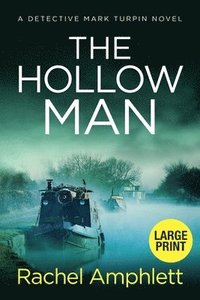 bokomslag Hollow Man