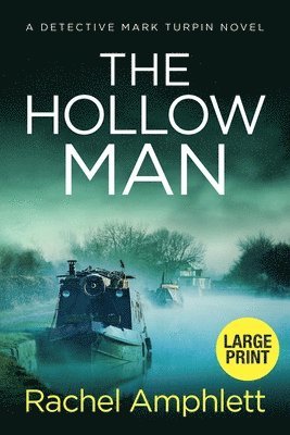 bokomslag Hollow Man