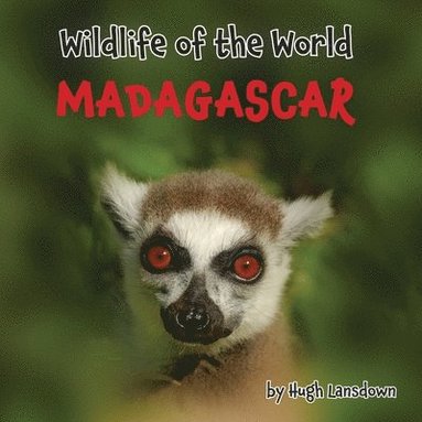 bokomslag Wildlife of the World - Madagascar