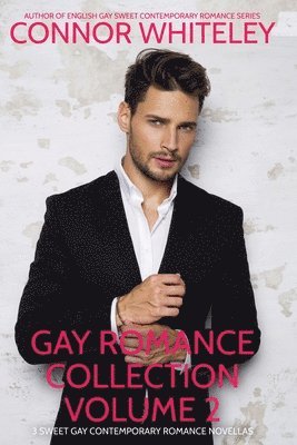 Gay Romance Collection Volume 2 1