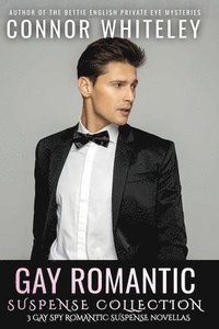bokomslag Gay Romantic Suspense Collection
