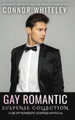 Gay Romantic Suspense Collection 1