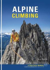 bokomslag Alpine Climbing