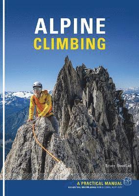bokomslag Alpine Climbing