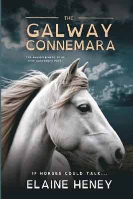 bokomslag Galway Connemara | The Autobiography of an Irish Connemara Pony - Dyslexia Friendly